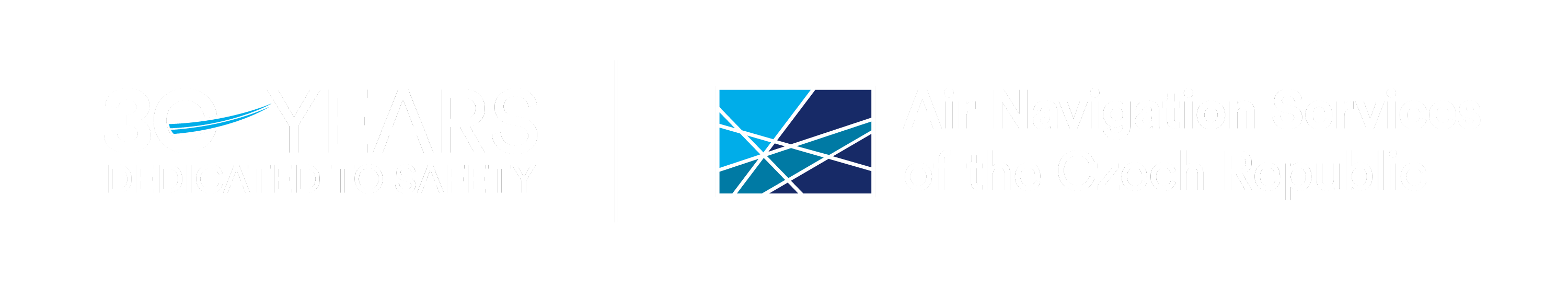 logo 30 years